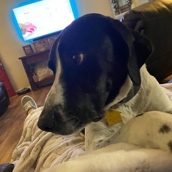 Like to Bookmark my closet - Picture 4 of 4